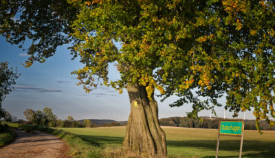 Herbst im Kalletal..